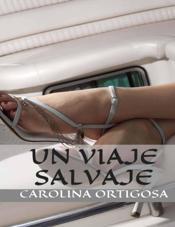 Portada de Un viaje salvaje
